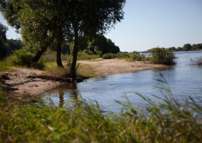 Elbe-Badebucht